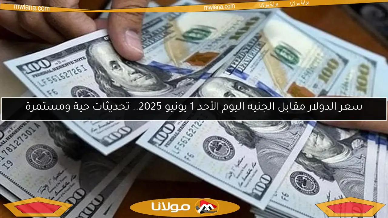 سعر الدولار مقابل الجنيه اليوم الأحد 1 يونيو 2025.. تحديثات حية ومستمرة