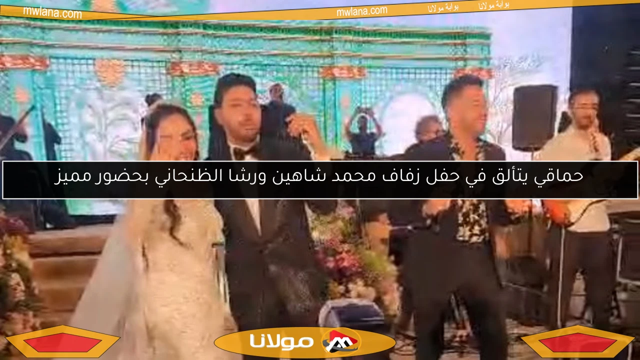 حماقي يتألق في حفل زفاف محمد شاهين ورشا الظنحاني بحضور مميز