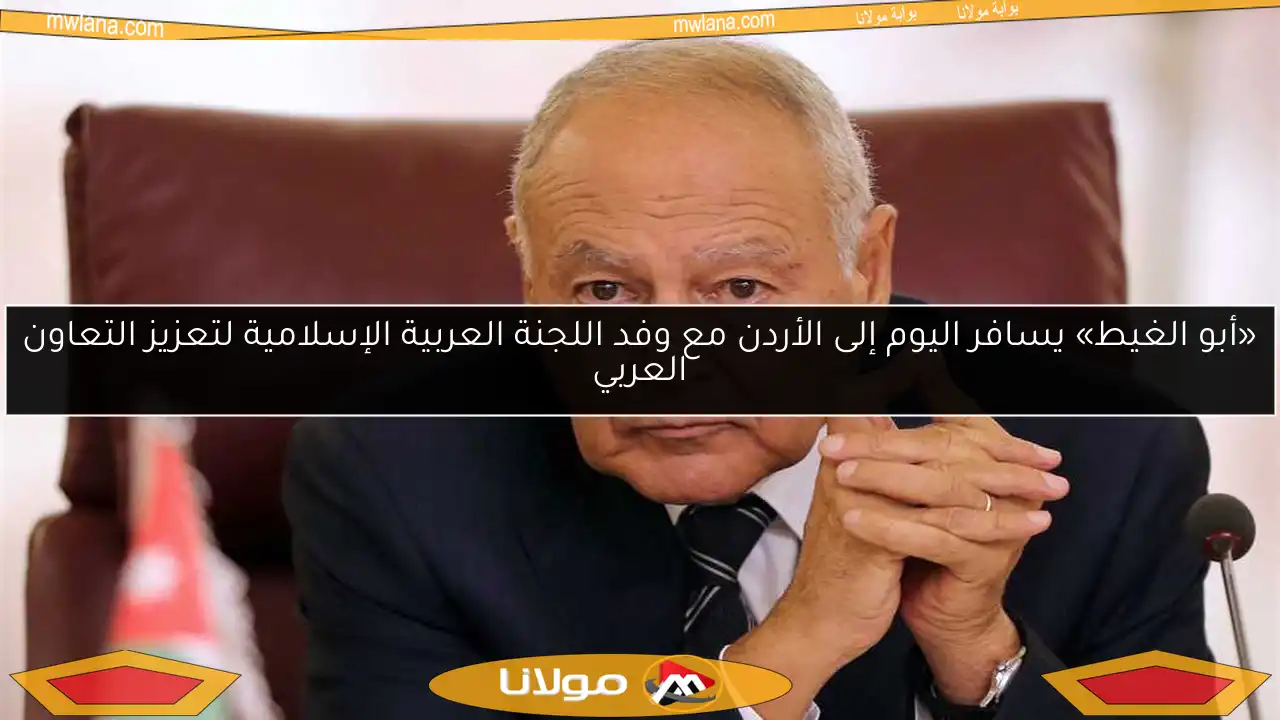 «أبو الغيط» يسافر اليوم إلى الأردن مع وفد اللجنة العربية الإسلامية لتعزيز التعاون العربي