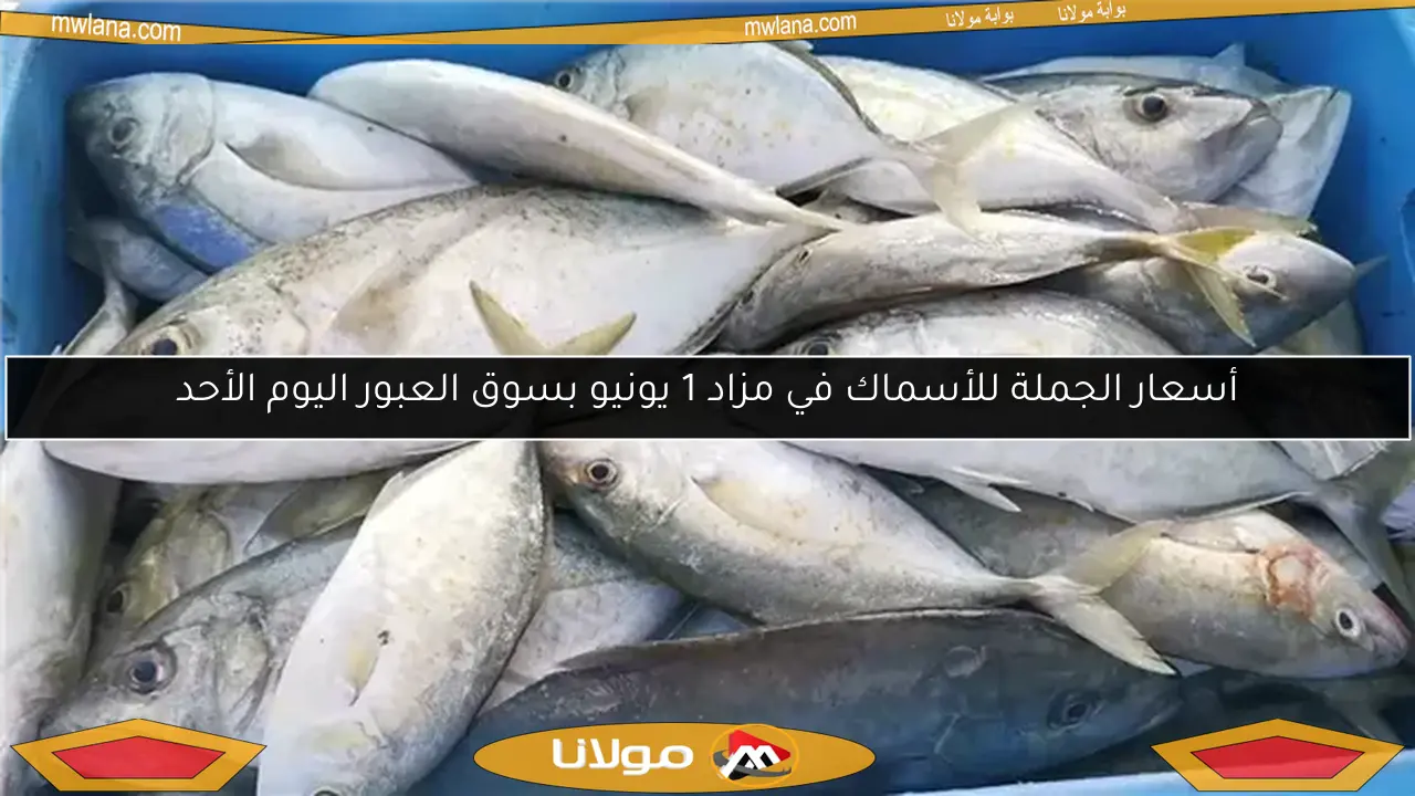 أسعار الجملة للأسماك في مزاد 1 يونيو بسوق العبور اليوم الأحد