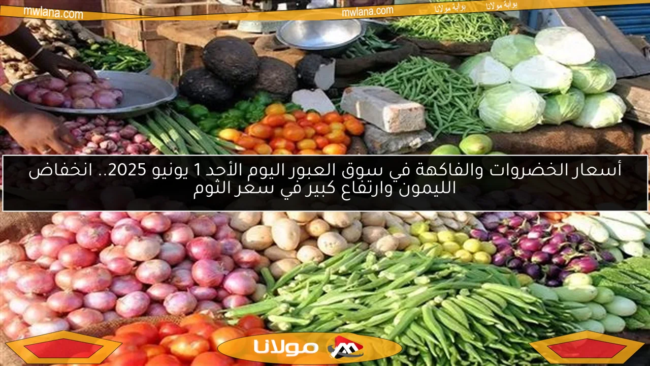أسعار الخضروات والفاكهة في سوق العبور اليوم الأحد 1 يونيو 2025.. انخفاض الليمون وارتفاع كبير في سعر الثوم