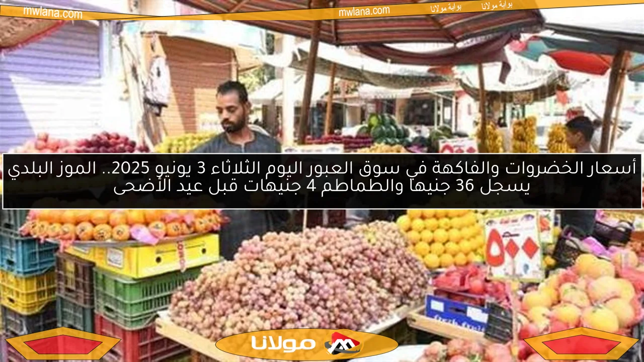 أسعار الخضروات والفاكهة في سوق العبور اليوم الثلاثاء 3 يونيو 2025.. الموز البلدي يسجل 36 جنيها والطماطم 4 جنيهات قبل عيد الأضحى