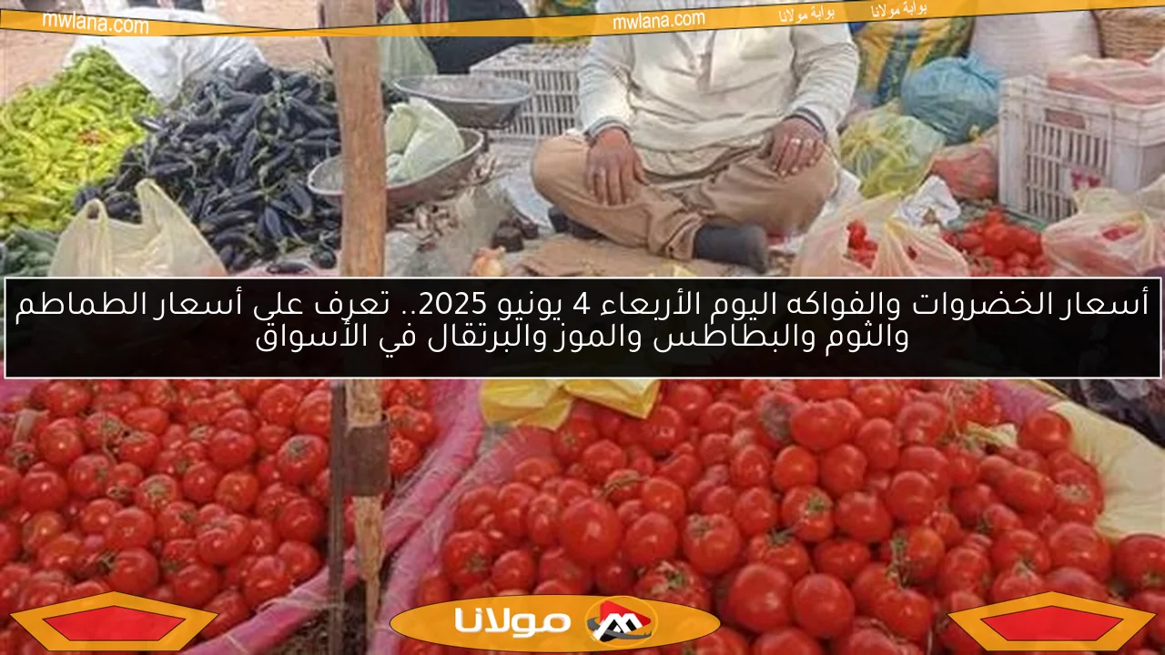 أسعار الخضروات والفواكه اليوم الأربعاء 4 يونيو 2025.. تعرف على أسعار الطماطم والثوم والبطاطس والموز والبرتقال في الأسواق