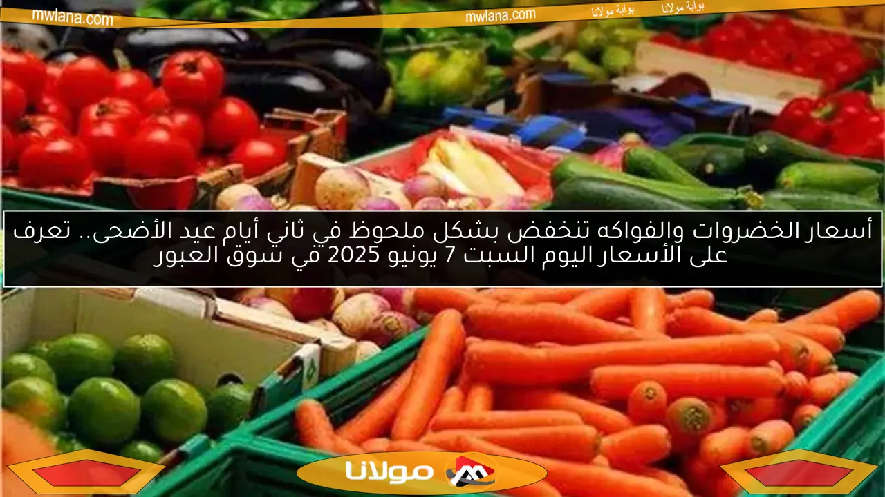 أسعار الخضروات والفواكه تنخفض بشكل ملحوظ في ثاني أيام عيد الأضحى.. تعرف على الأسعار اليوم السبت 7 يونيو 2025 في سوق العبور