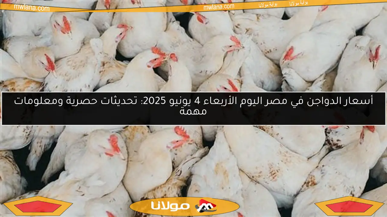 أسعار الدواجن في مصر اليوم الأربعاء 4 يونيو 2025: تحديثات حصرية ومعلومات مهمة