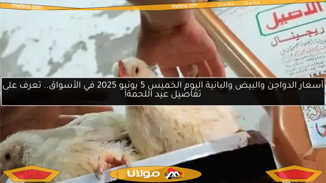 أسعار الدواجن والبيض والبانية اليوم الخميس 5 يونيو 2025 في الأسواق.. تعرف على تفاصيل عيد اللحمة!