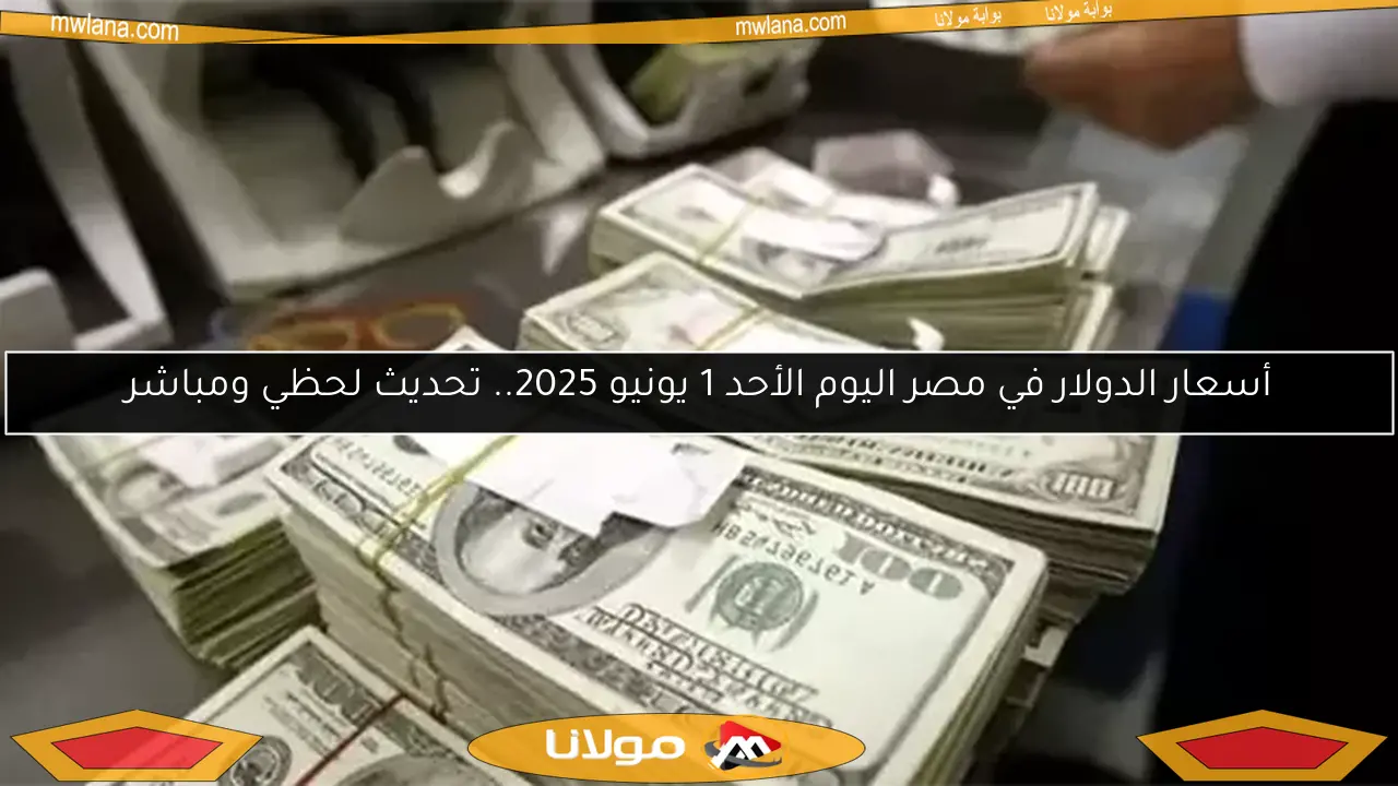 أسعار الدولار في مصر اليوم الأحد 1 يونيو 2025.. تحديث لحظي ومباشر