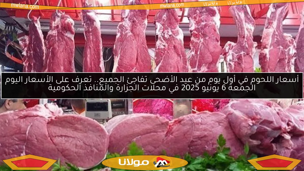 أسعار اللحوم في أول يوم من عيد الأضحى تفاجئ الجميع.. تعرف على الأسعار اليوم الجمعة 6 يونيو 2025 في محلات الجزارة والمنافذ الحكومية