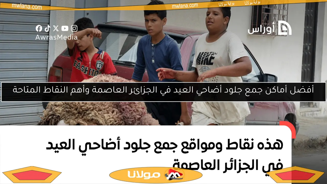 أفضل أماكن جمع جلود أضاحي العيد في الجزائر العاصمة وأهم النقاط المتاحة