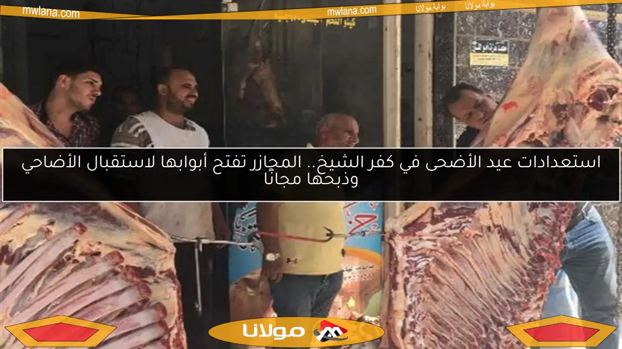 استعدادات عيد الأضحى في كفر الشيخ.. المجازر تفتح أبوابها لاستقبال الأضاحي وذبحها مجانًا