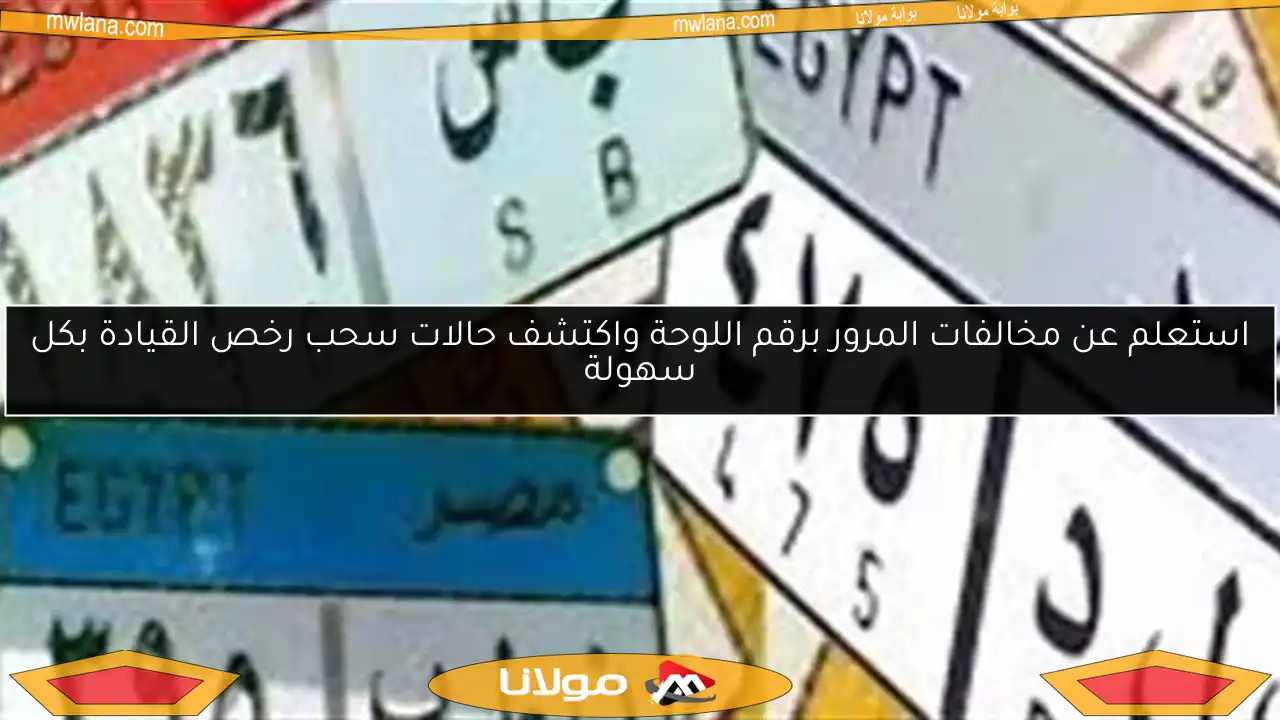 استعلم عن مخالفات المرور برقم اللوحة واكتشف حالات سحب رخص القيادة بكل سهولة