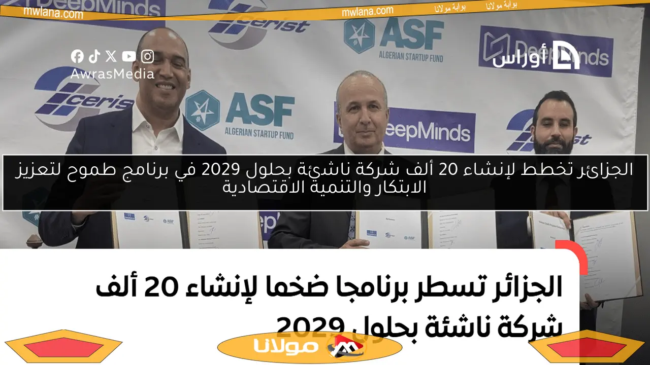 الجزائر تخطط لإنشاء 20 ألف شركة ناشئة بحلول 2029 في برنامج طموح لتعزيز الابتكار والتنمية الاقتصادية