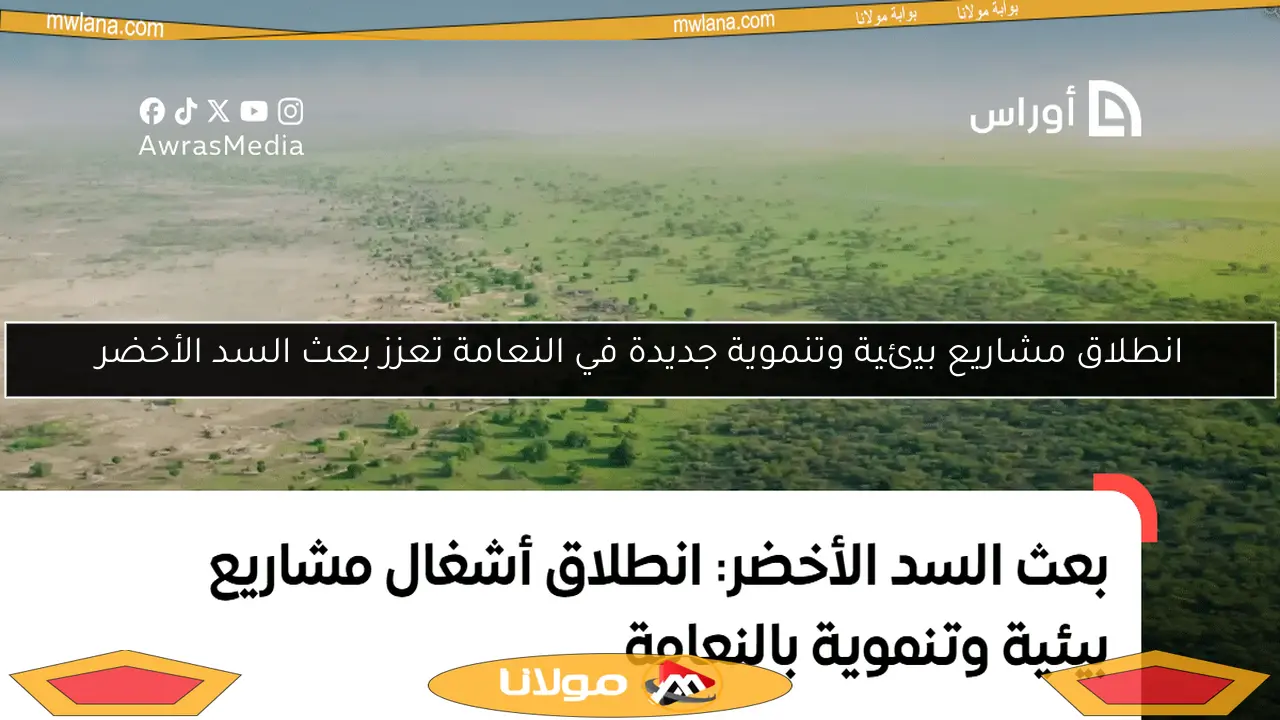 انطلاق مشاريع بيئية وتنموية جديدة في النعامة تعزز بعث السد الأخضر