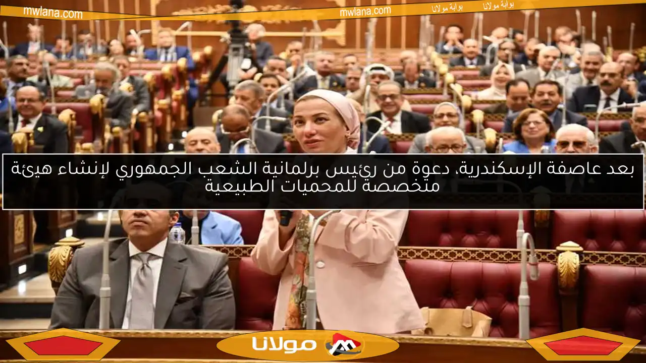 بعد عاصفة الإسكندرية، دعوة من رئيس برلمانية الشعب الجمهوري لإنشاء هيئة متخصصة للمحميات الطبيعية