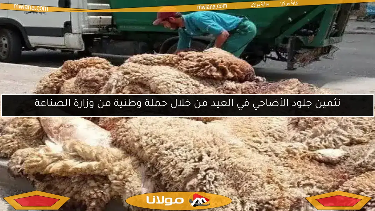 تثمين جلود الأضاحي في العيد من خلال حملة وطنية من وزارة الصناعة