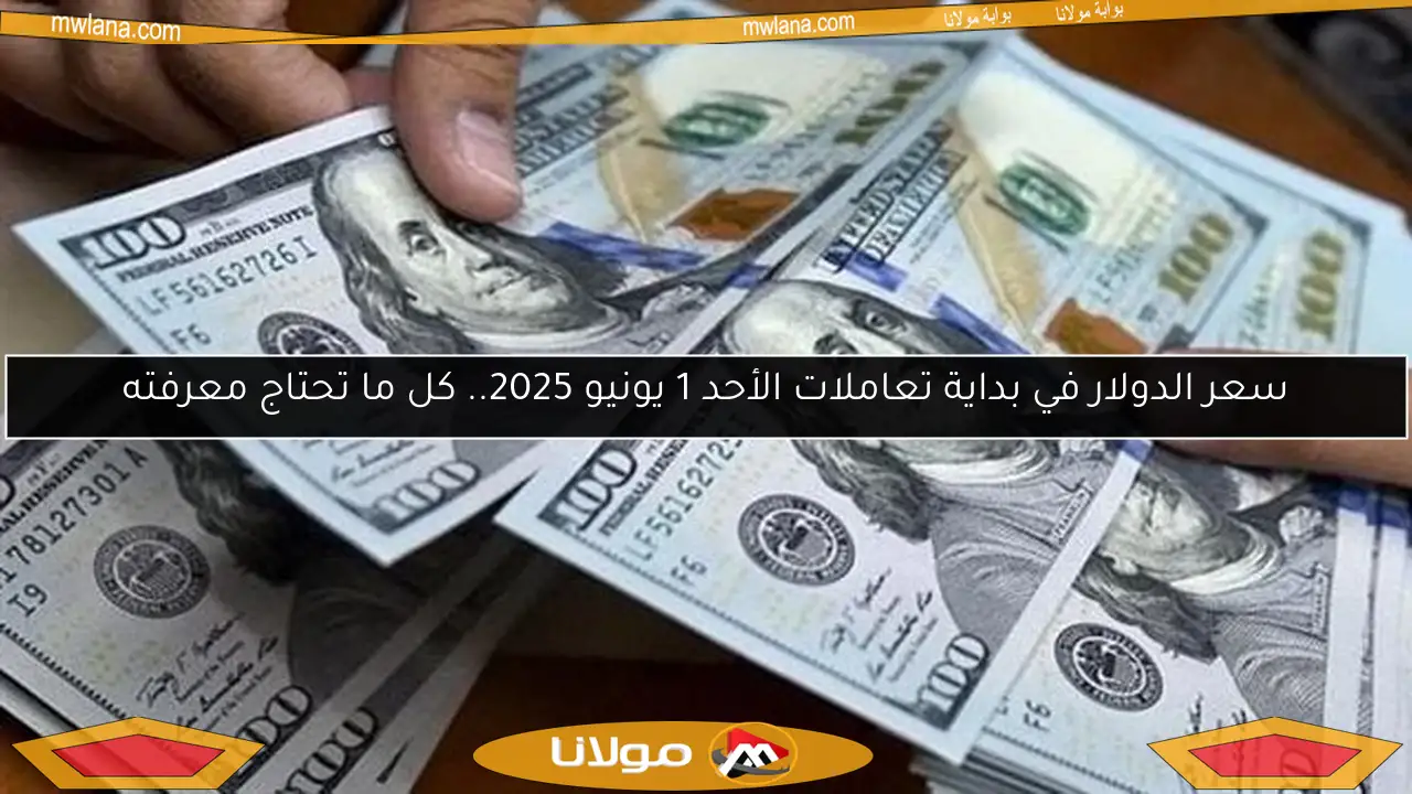 سعر الدولار في بداية تعاملات الأحد 1 يونيو 2025.. كل ما تحتاج معرفته