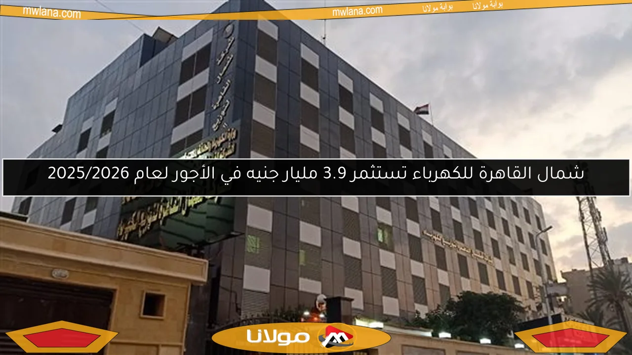 شمال القاهرة للكهرباء تستثمر 3.9 مليار جنيه في الأجور لعام 2025/2026