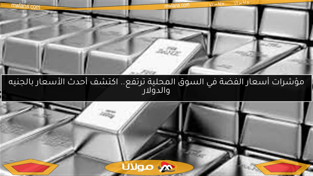 مؤشرات أسعار الفضة في السوق المحلية ترتفع.. اكتشف أحدث الأسعار بالجنيه والدولار