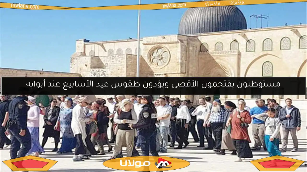 مستوطنون يقتحمون الأقصى ويؤدون طقوس عيد الأسابيع عند أبوابه