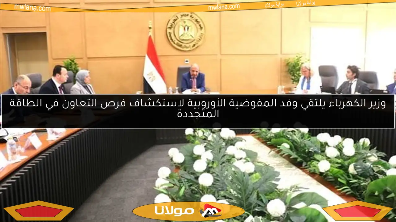وزير الكهرباء يلتقي وفد المفوضية الأوروبية لاستكشاف فرص التعاون في الطاقة المتجددة