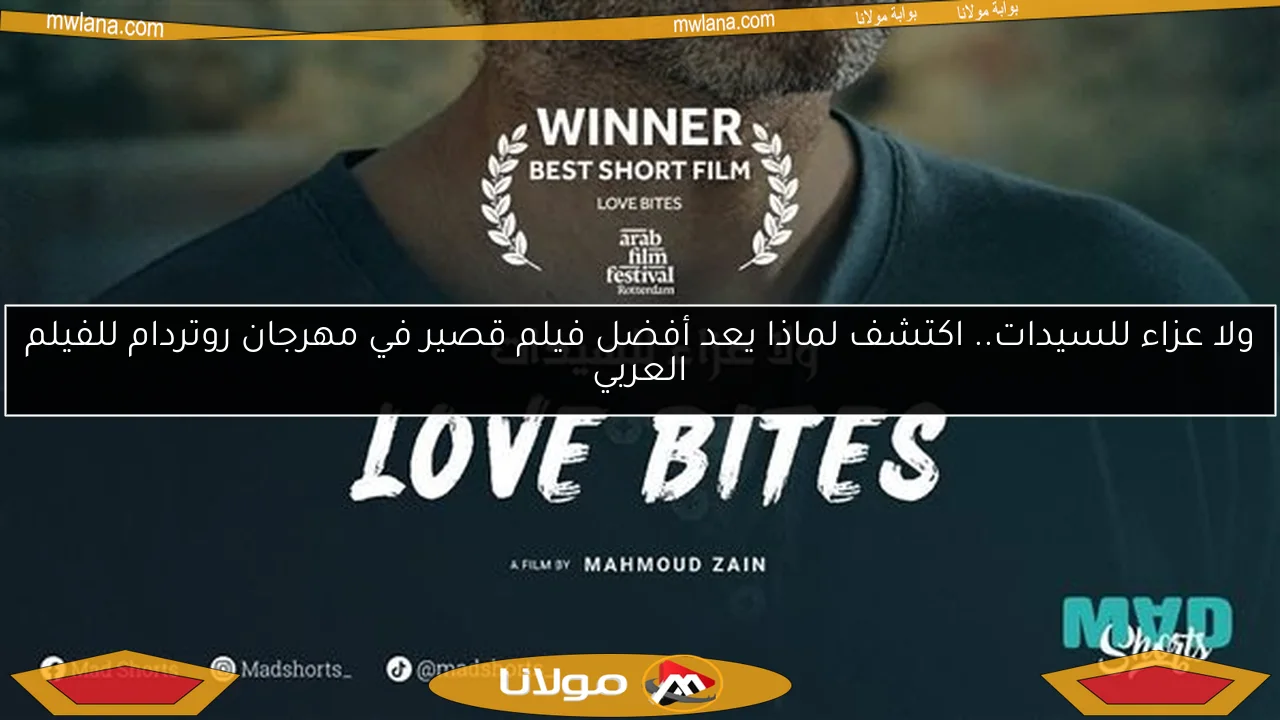 ولا عزاء للسيدات.. اكتشف لماذا يعد أفضل فيلم قصير في مهرجان روتردام للفيلم العربي